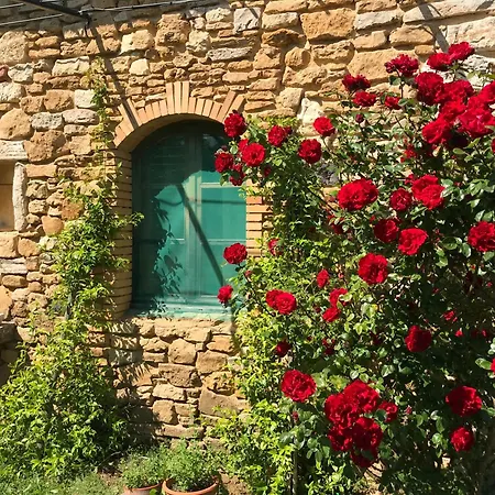 Amoureux De La Nature Saint-Andre-d'Olerargues Exterior photo