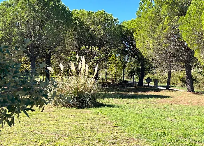 Amoureux De La Nature