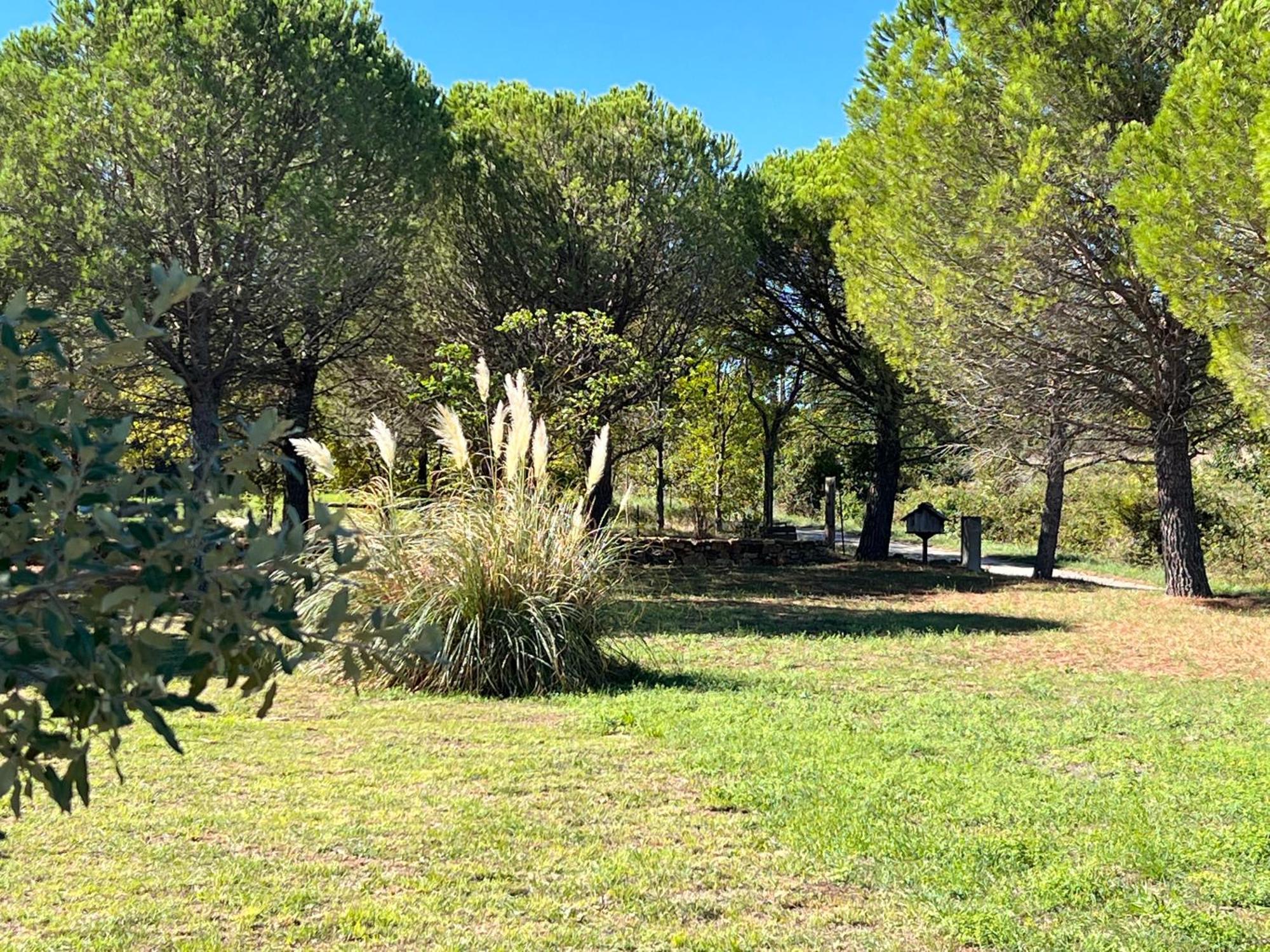 Amoureux De La Nature * Saint-Andre-d'Olerargues