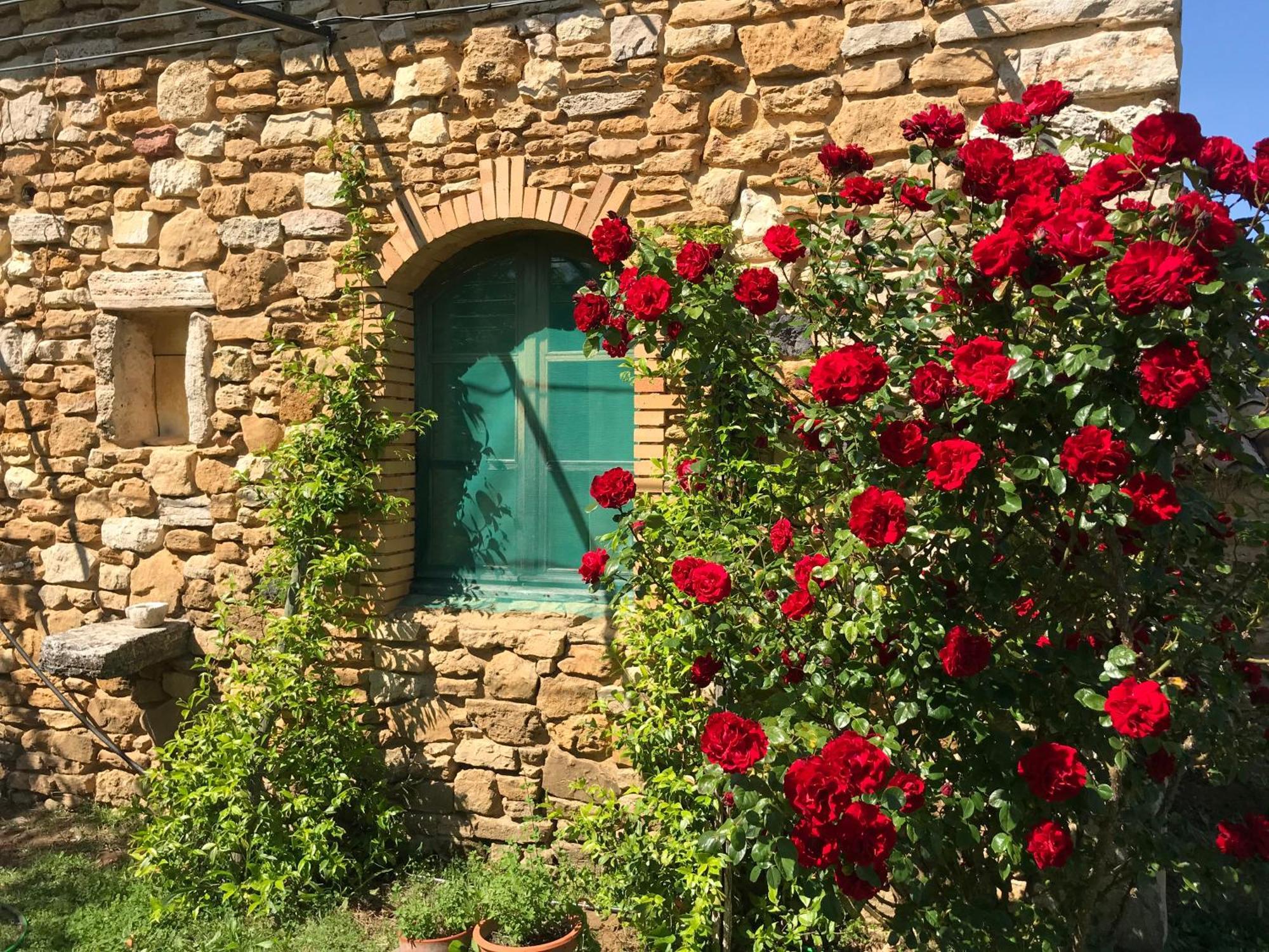 Holiday home Amoureux De La Nature Saint-Andre-d'Olerargues